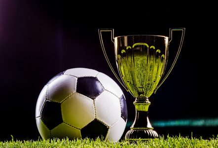 期待他们在 期待他们在