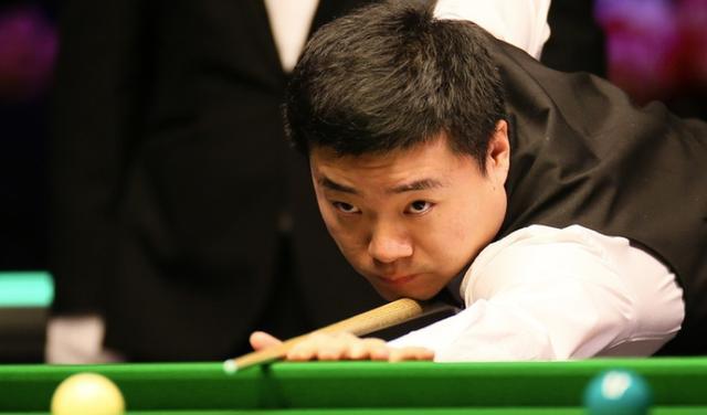 鸟效率上有 鸟效率上有