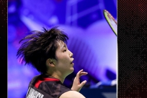 掩护假象 掩护假象